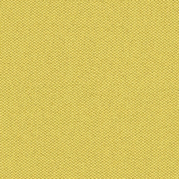 camira-era-cse03.jpg